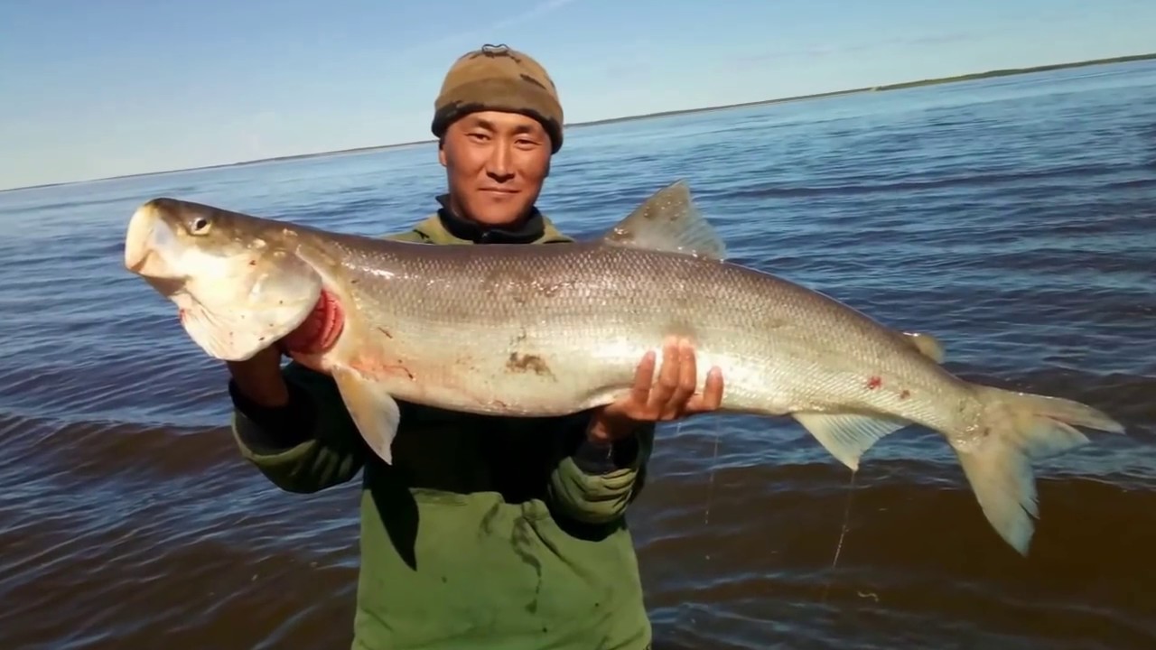 Супер рыбалка с ютуб каналом Охота и рыбалка в Якутии! Якутия Yakutia