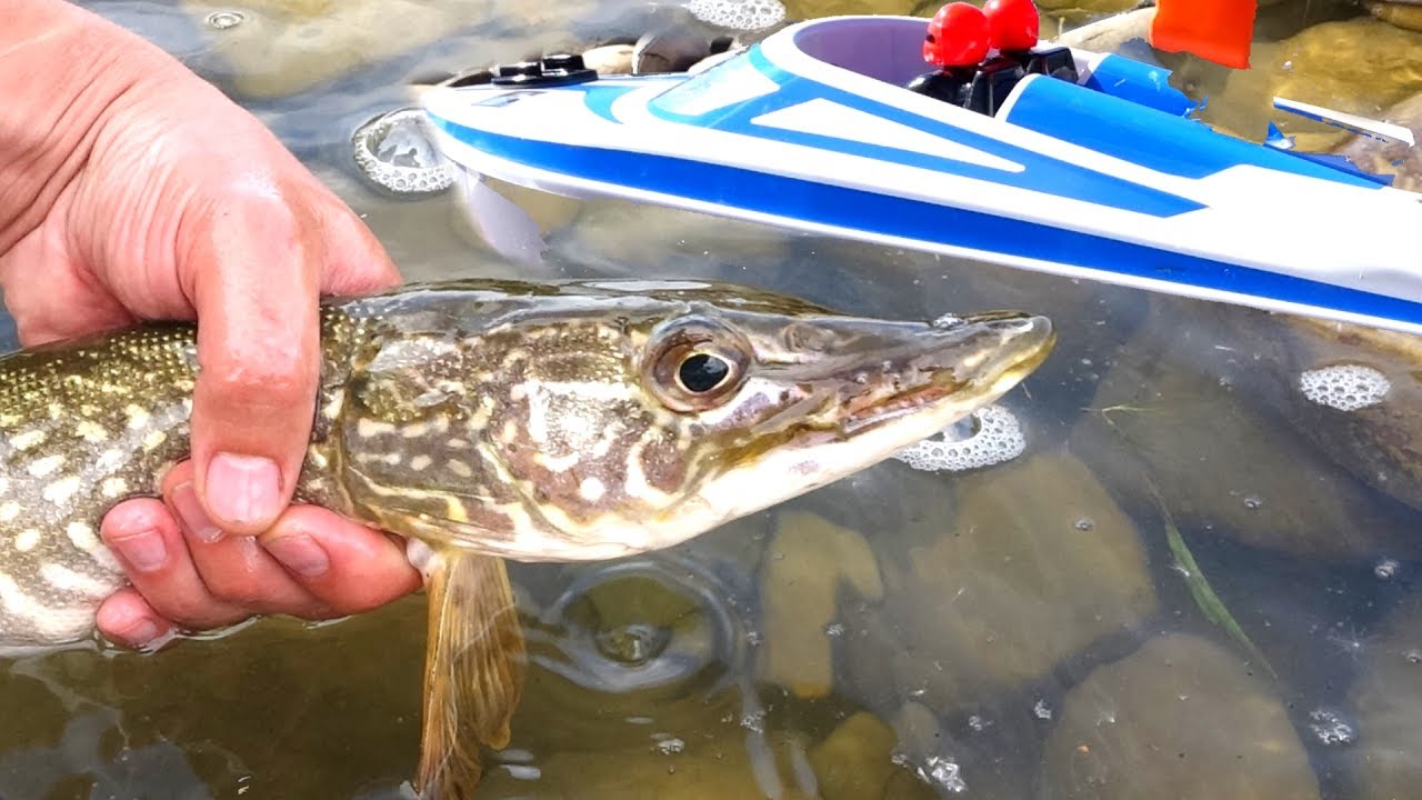 TOY RC FiSHiNG JET BOAT Catches 25″ PiKE the FiRST TiME! 🎣