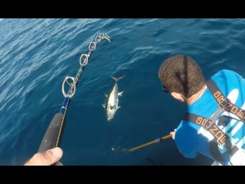 NJ Yellowfin Tuna Fishing — As Good as it Gets!
