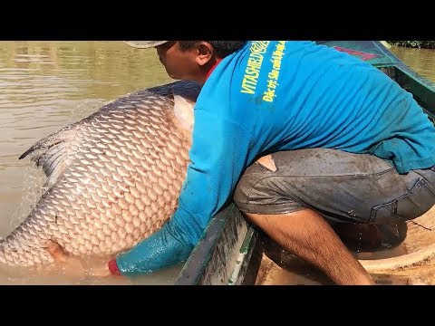 Top 4 Cast Net Fishing — Fisherman vs. River Monsters
