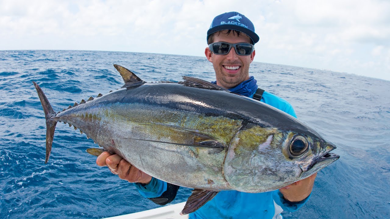 Fishing for Dinner Fish in Miami — 4K