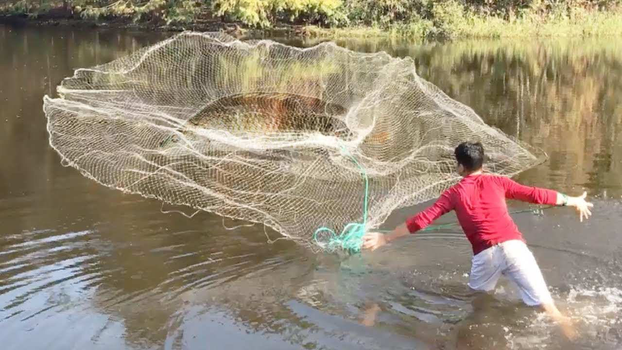Top 5 Cast Net Fishing Big Fish!