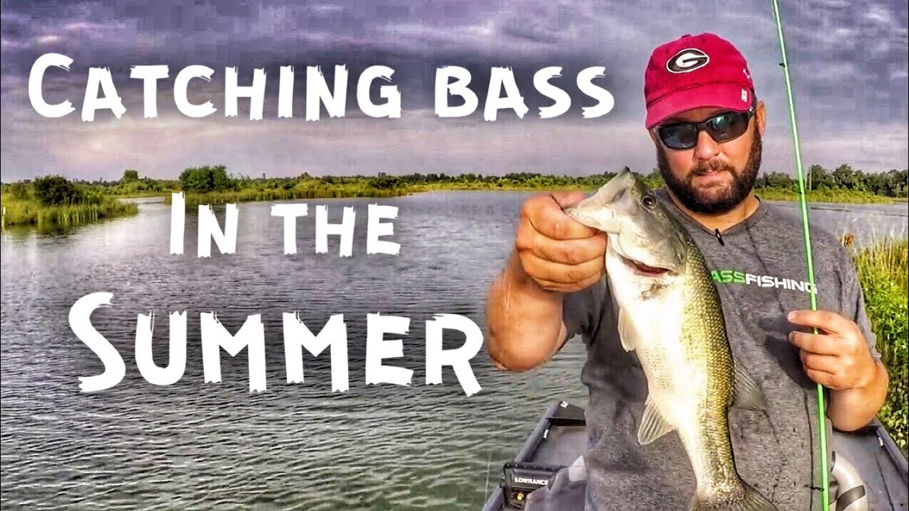 Bass Fishing in the Summer — Only 3 Hours to Fish