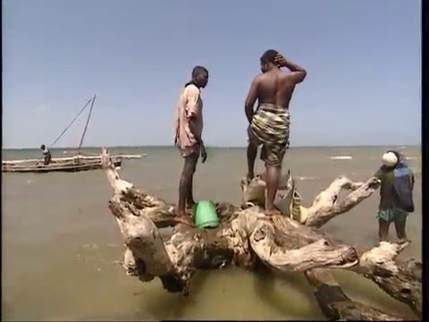 Fishing Adventures in Kenya Documentary