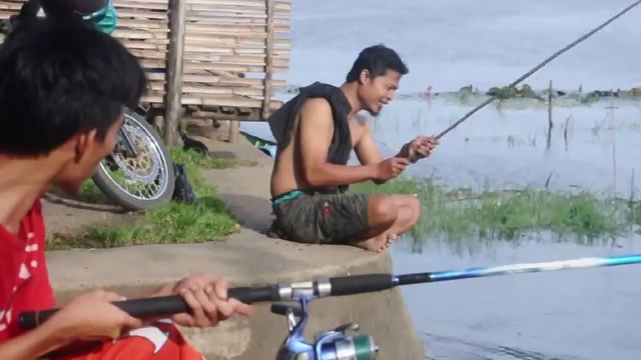 stupid fishing, crazy angler
