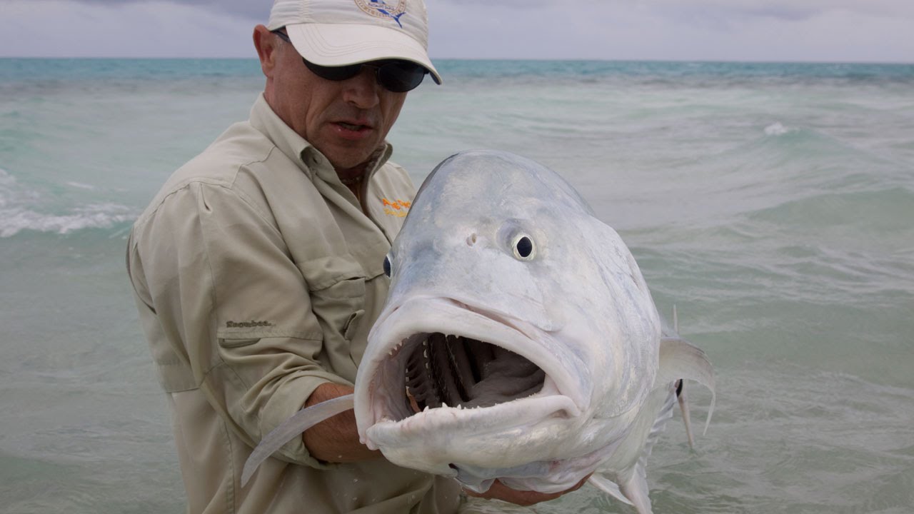 Fly Fishing For GT’s On Christmas Island «Mind Blowing Action»