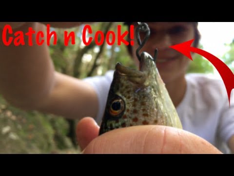 Primitive DIY fishing rod — Catch n Cook!