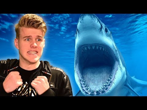 ATTACKED BY A SHARK! (FISHING IN VR)