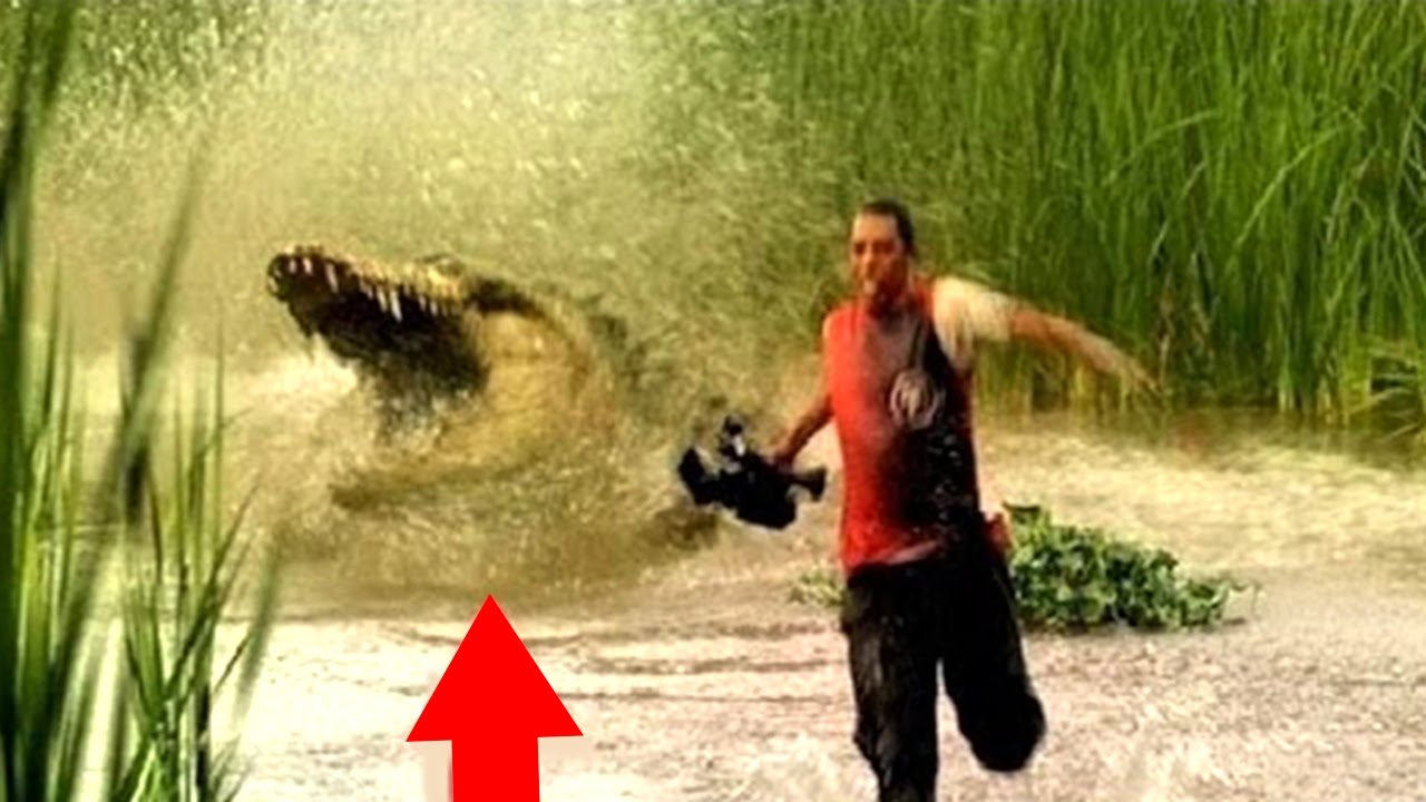 5 Shocking Fishing Moments Caught On Camera & Spotted In Real Life!