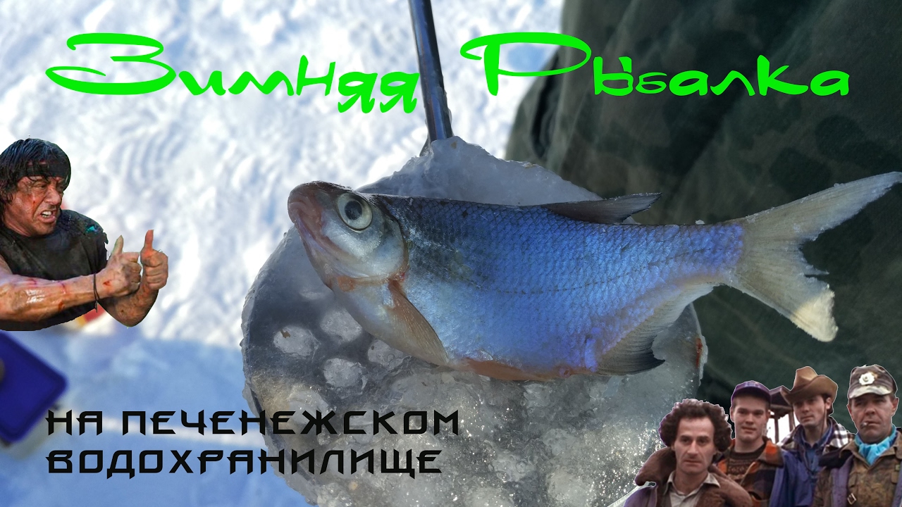 Рыбалка на Печенежском водохранилище. Глухозимье