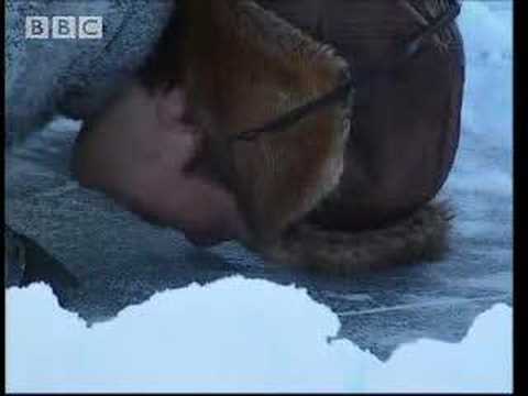 Arctic Fishing — Ray Mears World of Survival — BBC