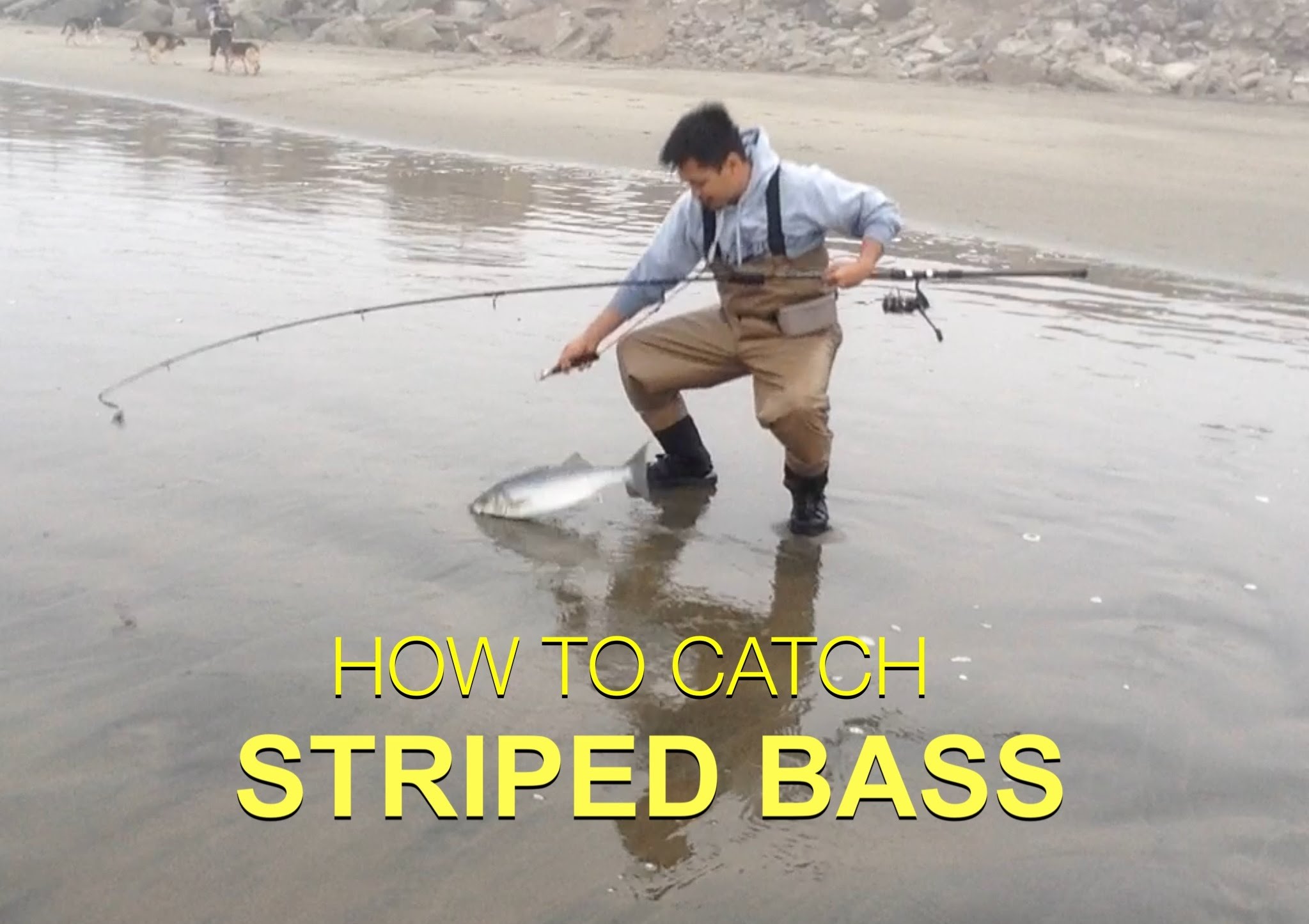TIPS ON HOW TO CATCH STRIPED BASS — Surf Fishing