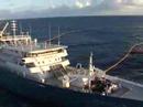 The World’s Largest Tuna Fishing Vessel