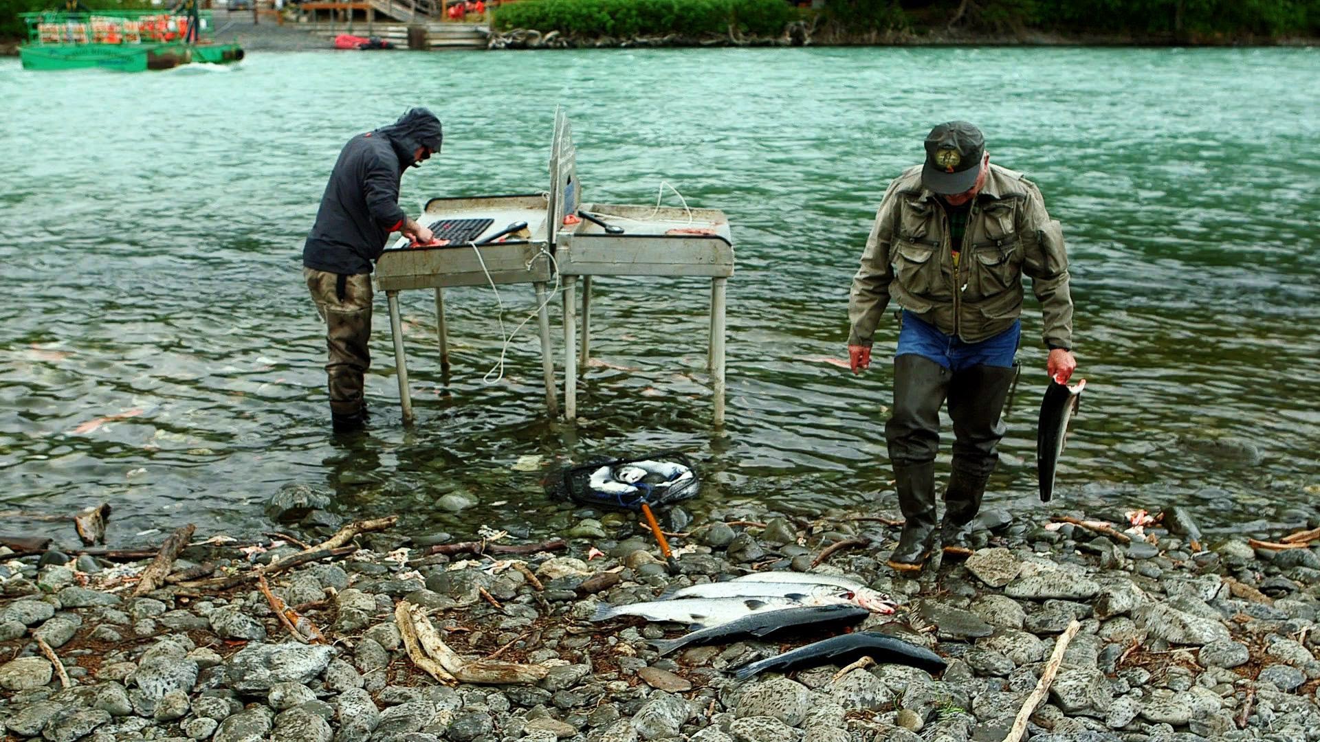 Combat fishing on Alaska’s Kenai Peninsula