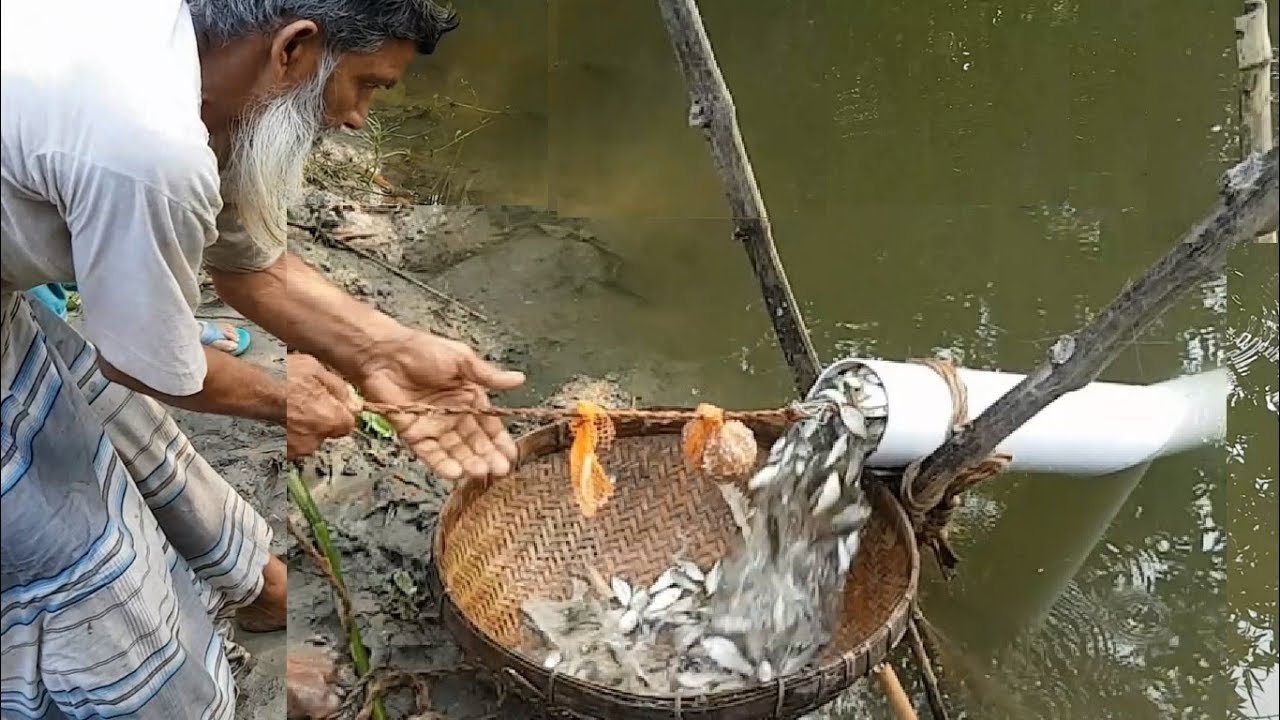 Believe This Fishing? Unique Fish Trapping System | New Technique Of Catching Country Fish