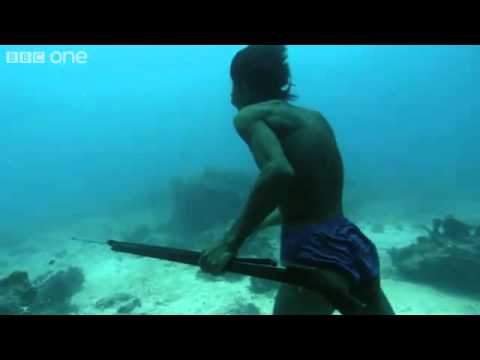 Underwater Hunter Goes Deep Sea Fishing Without Air!