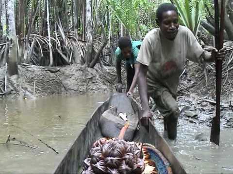 fishing — Asmat Papua