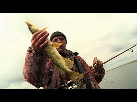 Астрахань: рыбалка больше, чем рыбалка — life