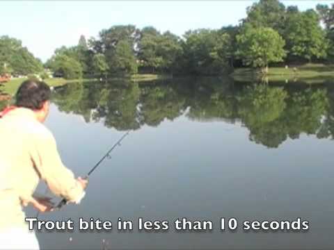 60 Second Trout Fishing System *ILLEGAL IN SOME AREAS*