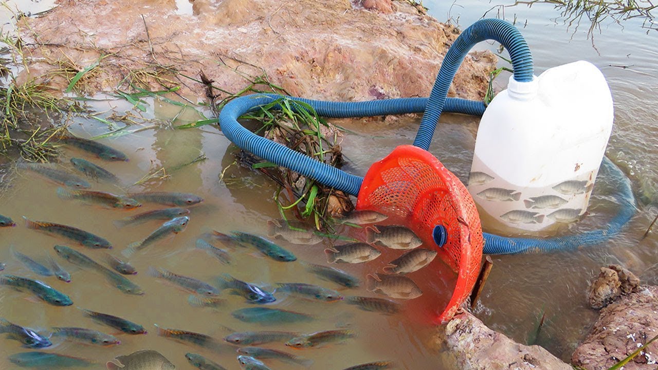 Believe This Fishing? Unique Fish Trapping System Using Long Pipe & Big Plastic Bottle By Smart Boy