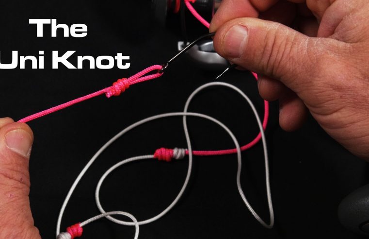 The Only Fishing Knot You Need | The Uni Knot | Saltwater Experience