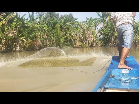 Cast Net Fishing INCREDIBLY Biggest Fish For World Record
