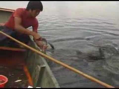 China 2005 28 — Fishing with cormorants