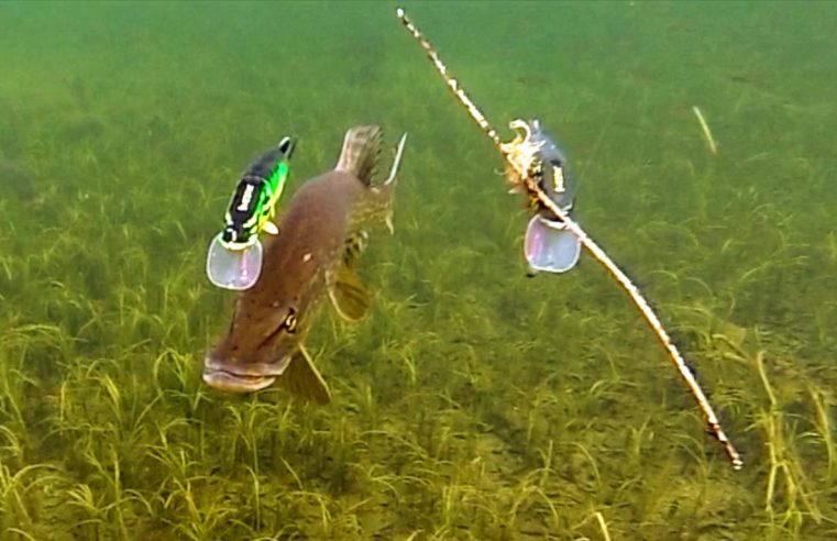 Pike attack Mike & Ricky fishing lures. Gäddfiske. Рыбалка щука атакует рыболовные приманки