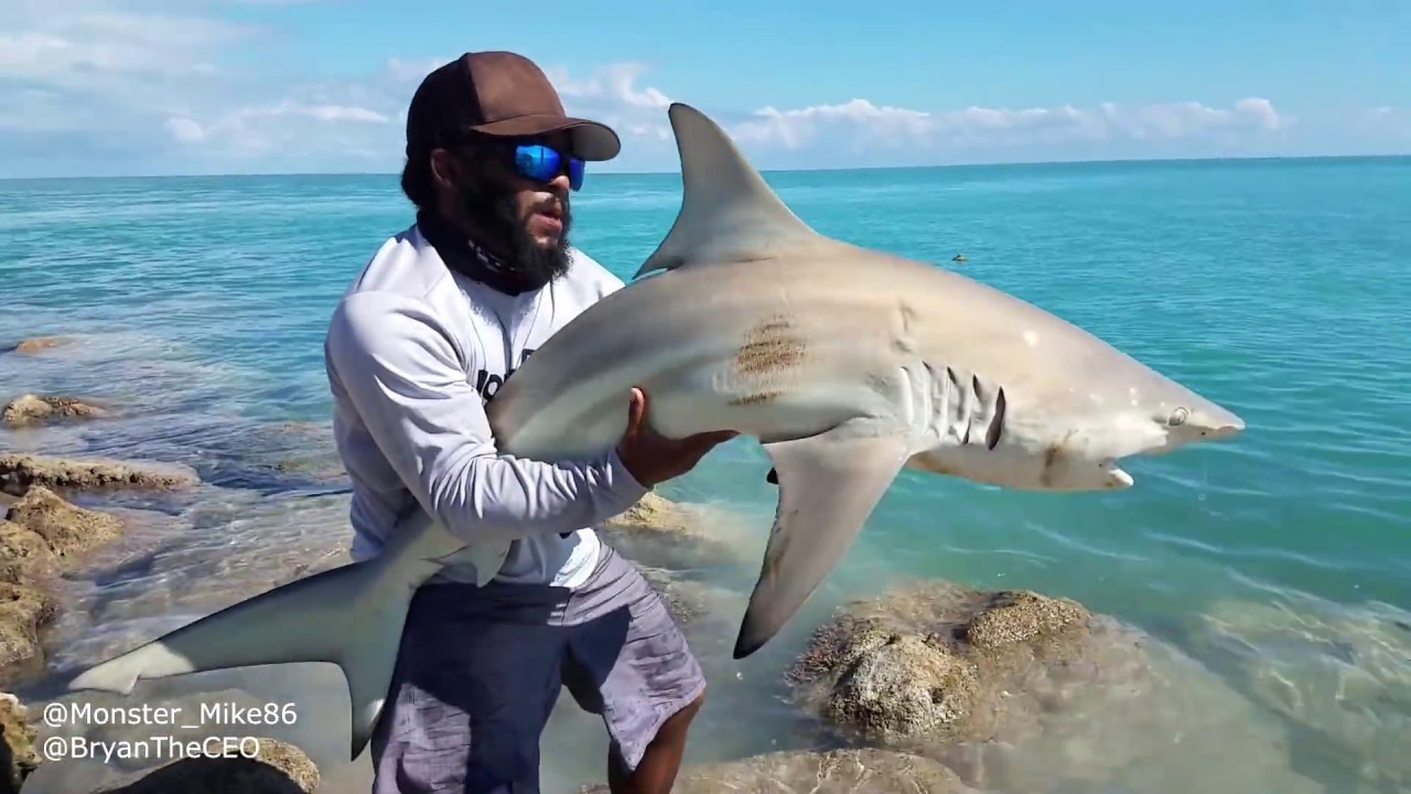 What Type of SHARK Did We Catch? Monster Mike Fishing
