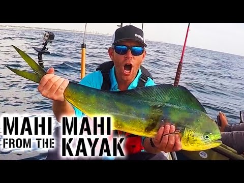 Kayak Fishing: MAHI MAHI & SAILFISH Action in Florida