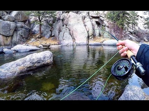 Fly Fishing for Trout in the Mountains