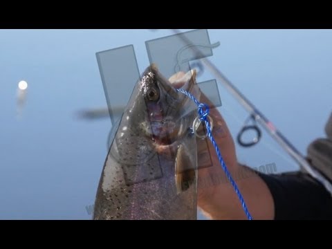 Beginner trout fishing