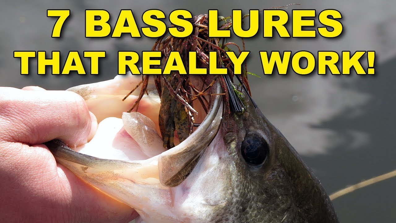 7 Best Bass Lures That Work Year Round | Bass Fishing