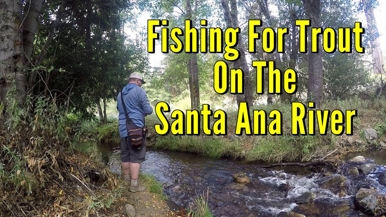 Fishing For Trout On The Santa Ana River