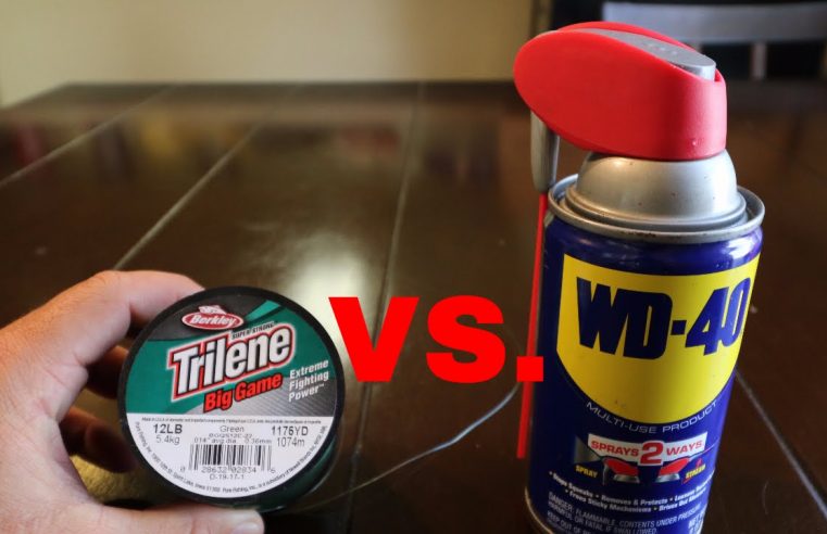 The TRUTH of WD40 vs MONO Fishing Line!