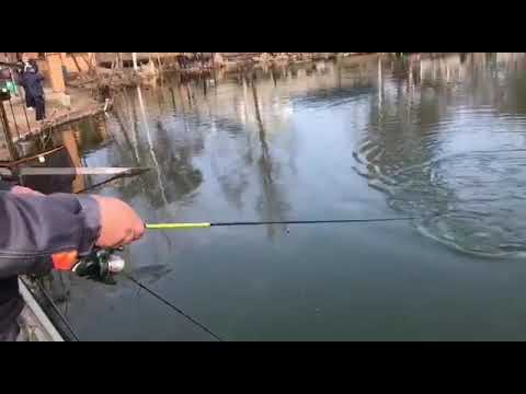 Рыбалка у Бородина