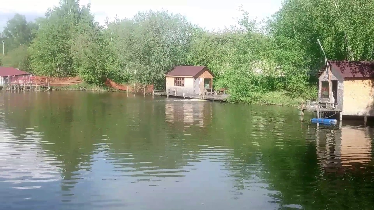 Рыбалка у Бородина  малый пруд