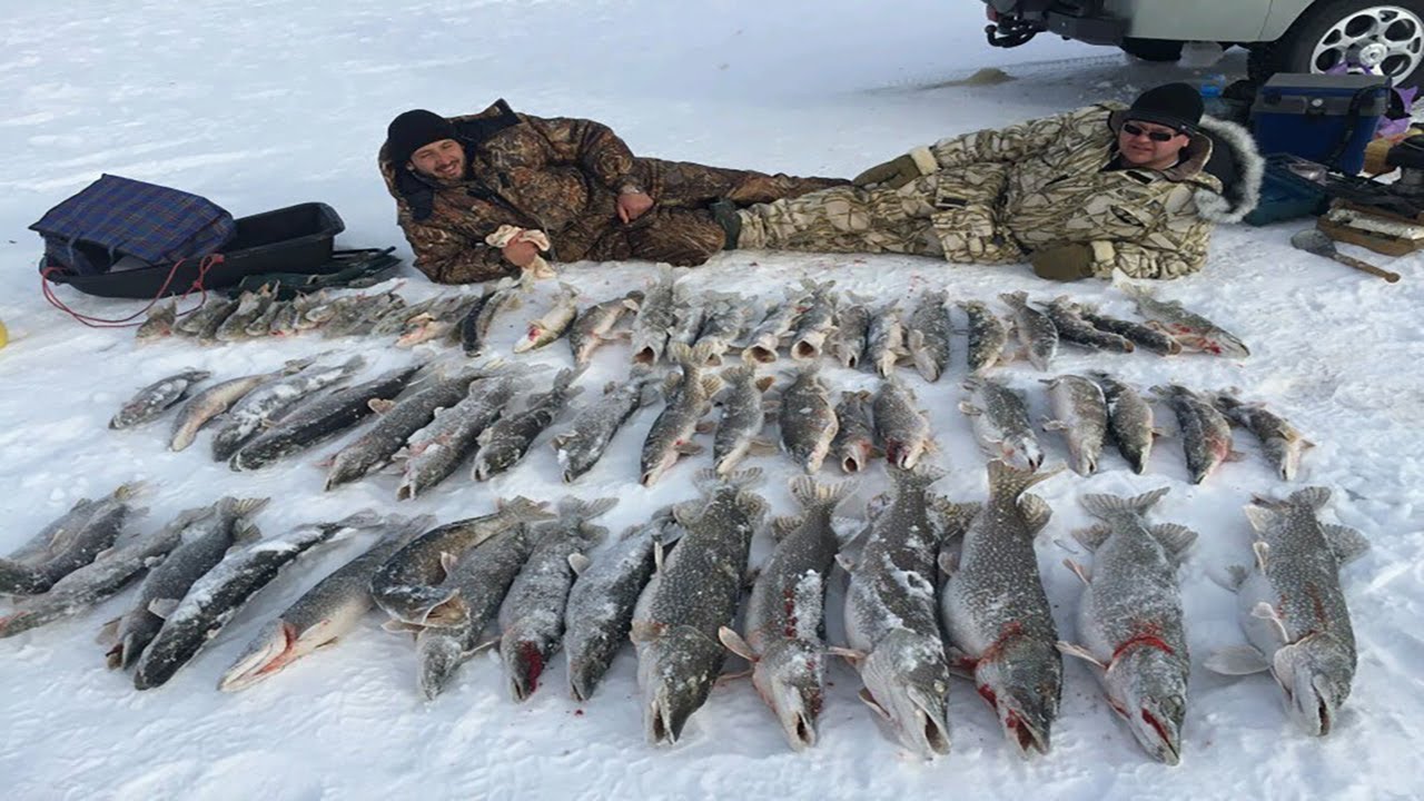 «Бешеная Рыба» Рыбалка в Казахстане, Кургальджинский Заповедник.Астана