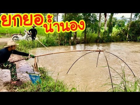 ยกยอ ปลาตื่นน้ำใหม่ Fishing lifestyle Ep.150