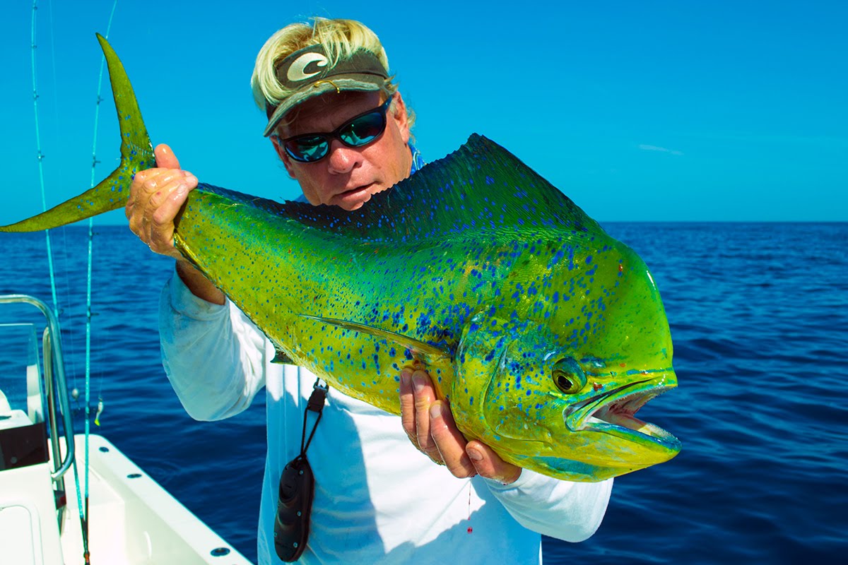 Deep Sea Fishing Big Fish for Mahi Mahi in Venice Louisiana