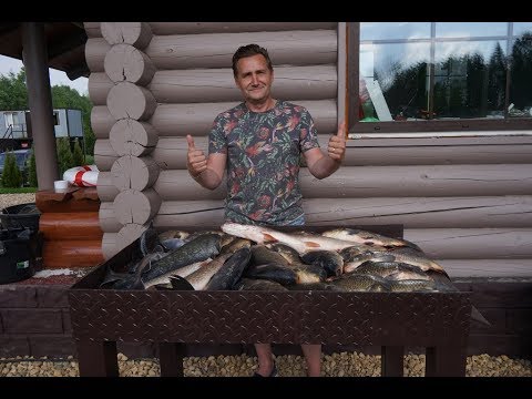 Платная рыбалка в Подмосковье.Платная рыбалка в Московской области. Платный пруд.
