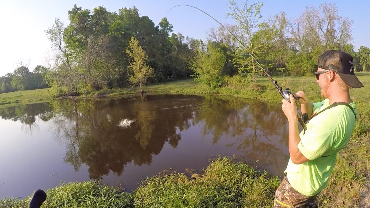 Bass Fishing Farm Ponds with Outlaw