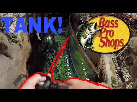 Fishing In Bass Pro Shops