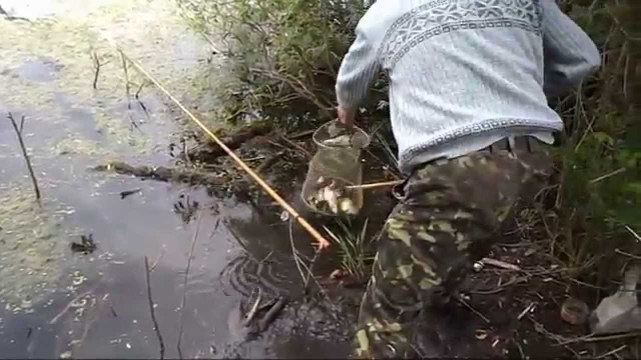 Рыбалка в Украине. Три богатыря на рыбалке.