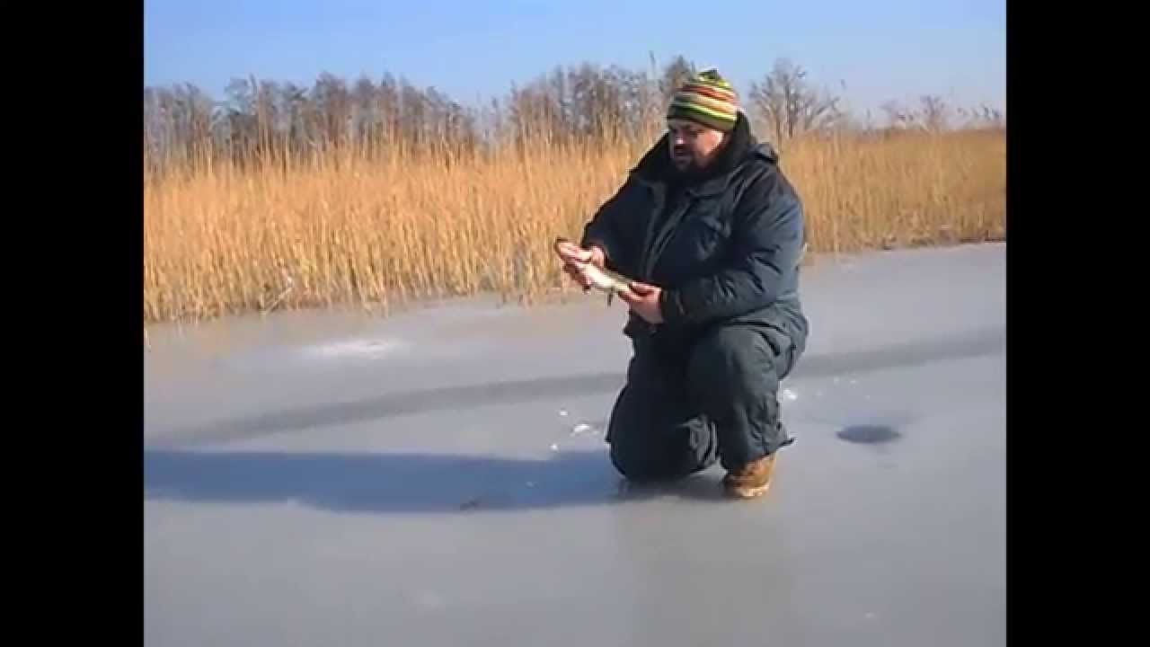 Зимняя рыбалка на Бородинском