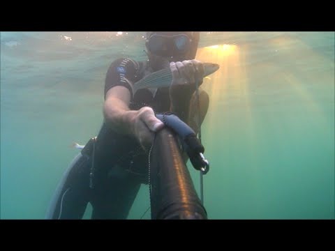 Подводная охота на Черном море или отпуск-мечта