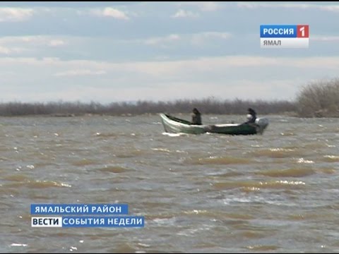 Браконьер — каждый, кто нарушает сроки рыбалки на Оби