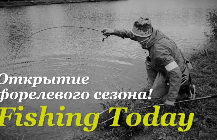 Открытие форелевого сезона — Fishing Today