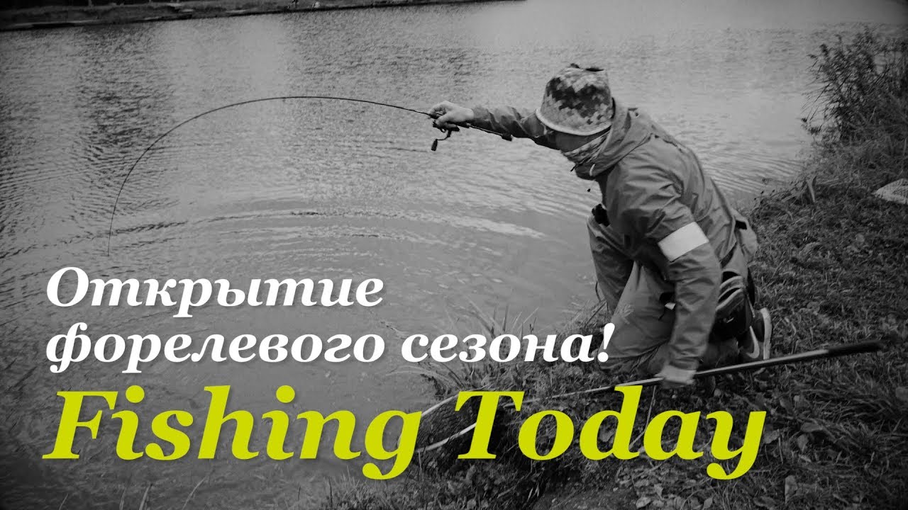 Открытие форелевого сезона — Fishing Today