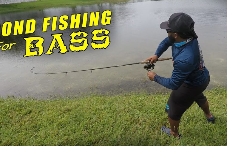 POND Fishing for Big BASS on Artificial Lures | Monster Mike